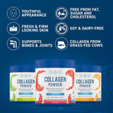 Applied Nutrition Collagen Peptides Powder | Hydrolysed Bovine Collagen | 165g (30 Servings)