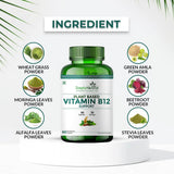 Simply Herbal Plant-Based Vitamin B12 | 60 Capsules