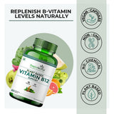 Simply Herbal Plant-Based Vitamin B12 | 60 Capsules