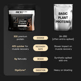 Ace Blend Intense 30G Plant Protein Muscle Growth & Recovery No Added Sugar - 15 Servings