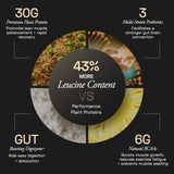 Ace Blend Intense 30G Plant Protein Muscle Growth & Recovery No Added Sugar - 15 Servings