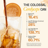 Ace Blend Cordyceps Shroom Coffee Boosts Immunity & Energy - 15 Servings