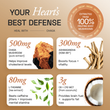 Ace Blend Chaga Shroom Coffee Heart Health - 15 Servings