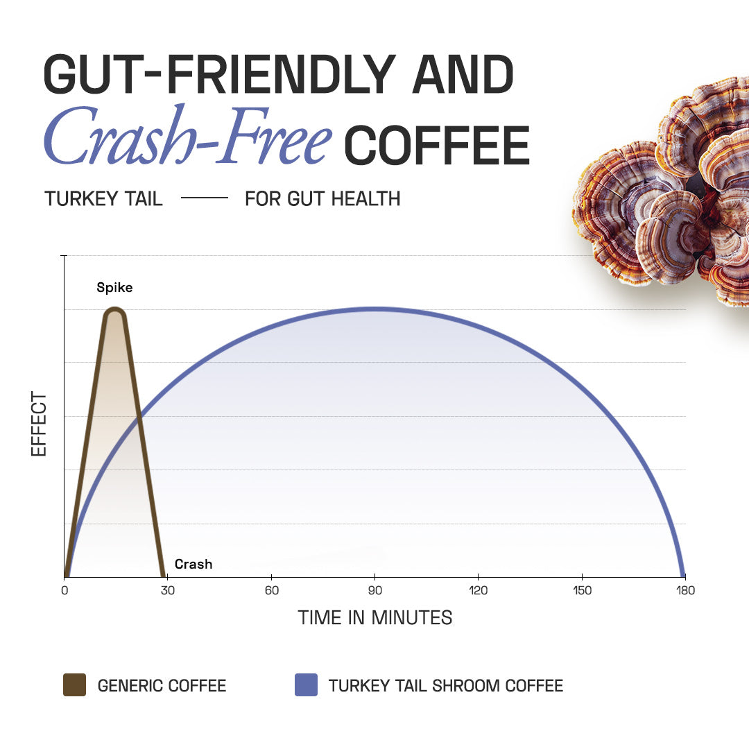 Ace Blend Turkey Tail Shroom Coffee Gut Health & Digestion - 5 Servings
