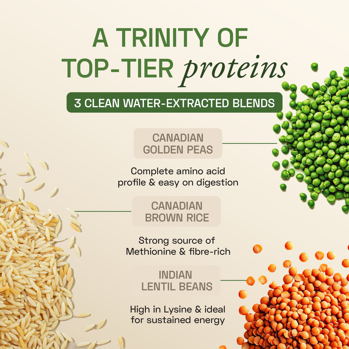 Ace Blend Plant Protein Triple Complex 26G Protein 500g