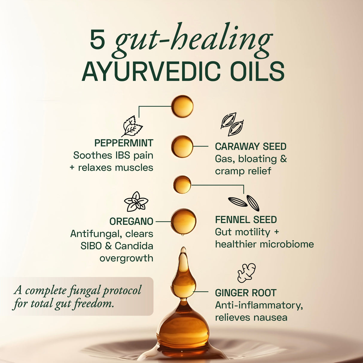 Ace Blend IBS Gastro Pro With 5 Ayurvedic Gut-Healing Oils - 60 Servings