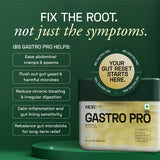 Ace Blend IBS Gastro Pro With 5 Ayurvedic Gut-Healing Oils - 60 Servings