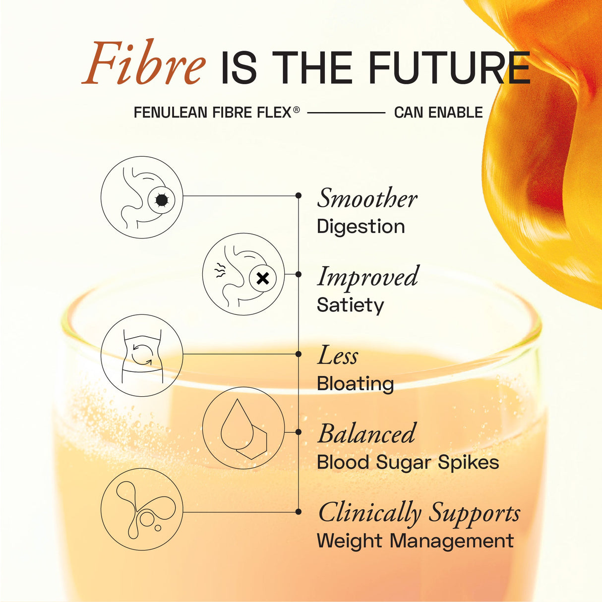 Ace Blend FenuLean Fibre Flex - 15 Servings
