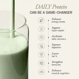 Ace Blend Daily 20G Plant Protein Strength & Recovery No Added Sugar - 5 Servings