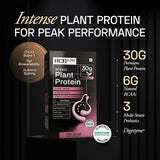 Ace Blend Intense 30G Plant Protein Muscle Growth & Recovery No Added Sugar - 5 Servings