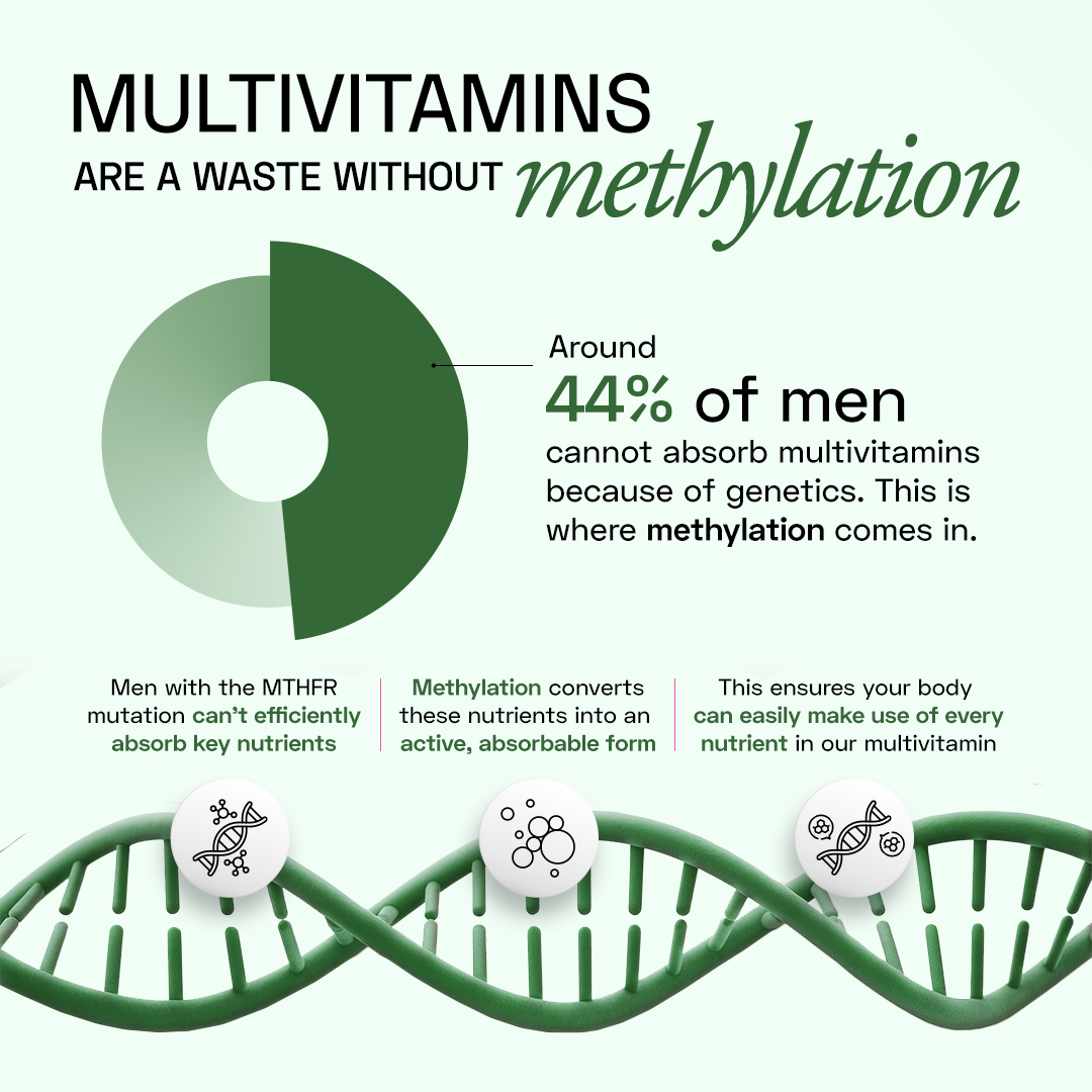 Ace Blend Methylated Multivitamin for Men - 60 Servings