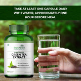 Simply Herbal Green Tea Extract Formula | 500mg | 60 Veg Capsules