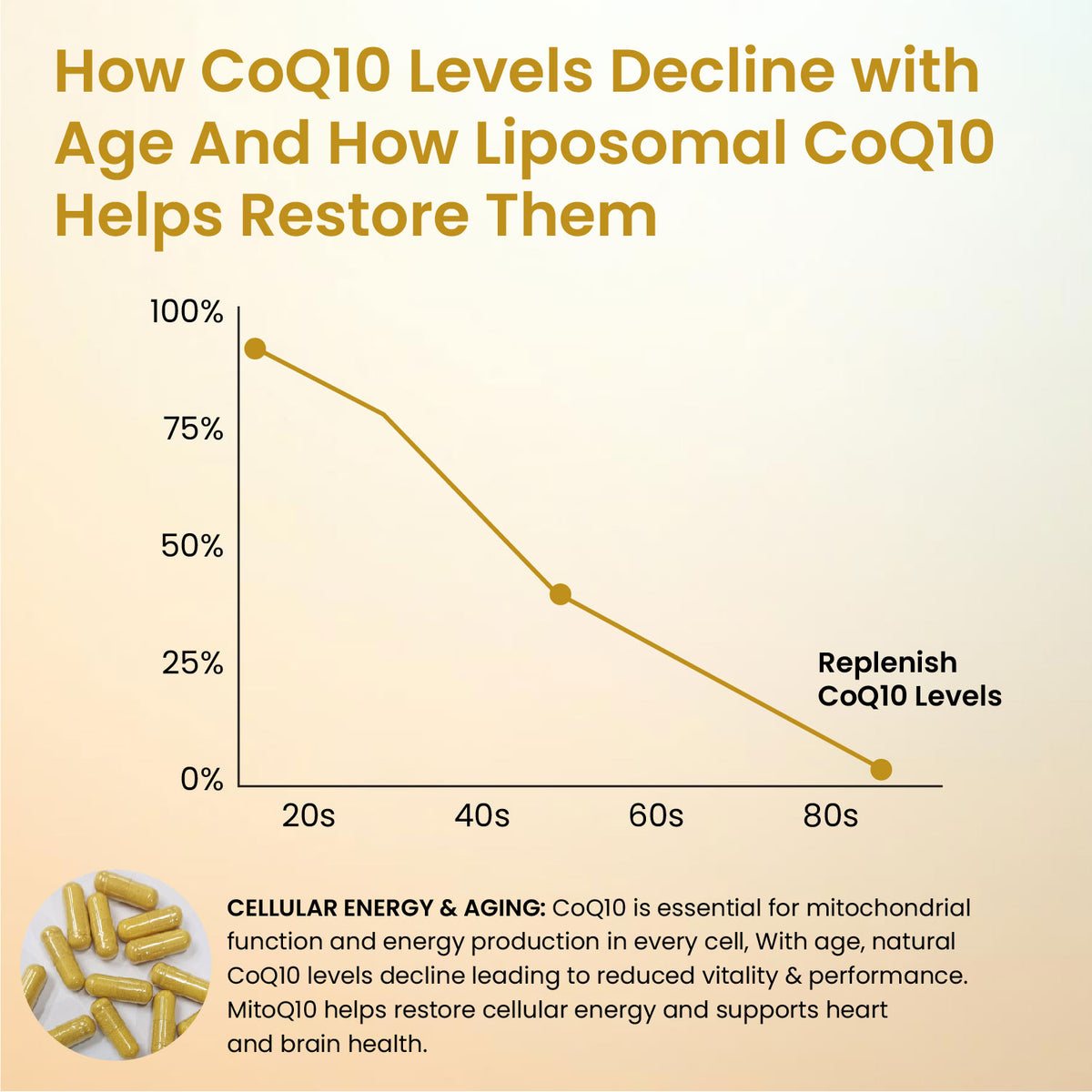 Vlado’s Himalayan Organics Liposomal CoQ10 300mg | Heart Health | 30 Caps