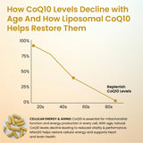 Vlado’s Himalayan Organics Liposomal CoQ10 300mg | Heart Health | 30 Caps