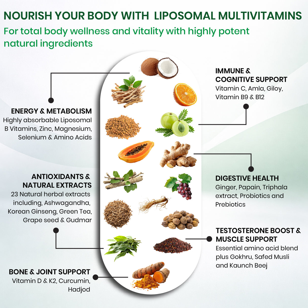 Himalayan Organics Liposomal Multivitamin 50+ | 60 Veg Capsules | Energy, Immunity & Overall Health Support