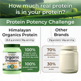 Vlado's Himalayan Organics Organic Pea Protein Powder | 28g Protein & 5g BCAA per Serving | 100% Plant-Based & Vegan | Lab Tested | Fast Absorbing, Easy to Digest | Supports Muscle Recovery | Unflavoured | 600g