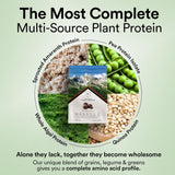 Wellbeing Nutrition Plant Protein 500 Gm
