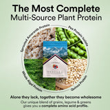 Wellbeing Nutrition Plant Protein 500 Gm