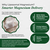 Himalayan Organics Magnesium Complex Supplement | 60 Veg Tablets | Sleep & Muscle Support