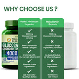 Vlado's Himalayan Organics Glucosamine Chondroitin MSM Tablets - Joint Support Supplement | 120 Vegetarian Tablets