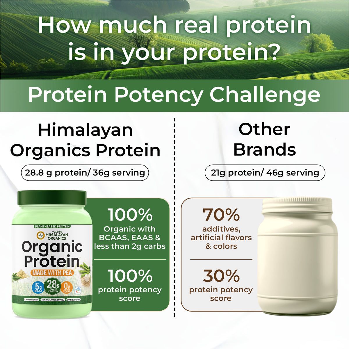 Vlado's Himalayan Organics, Organic Plant Protein, 28g Protein, 5g BCAA - 500g