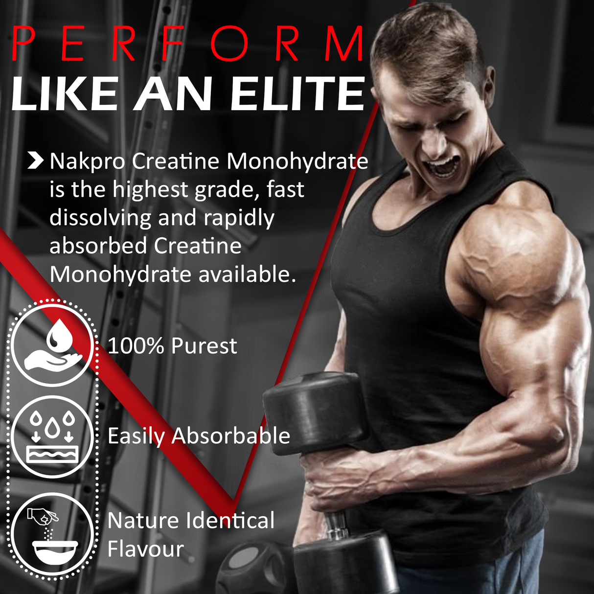 NAKPRO Creatine Monohydrate Jar 100 G