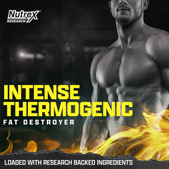 Nutrex Lipo 6 Intense Ultra Concentrate Intense Thermgenic Fat Desroyer - 60 Capsules