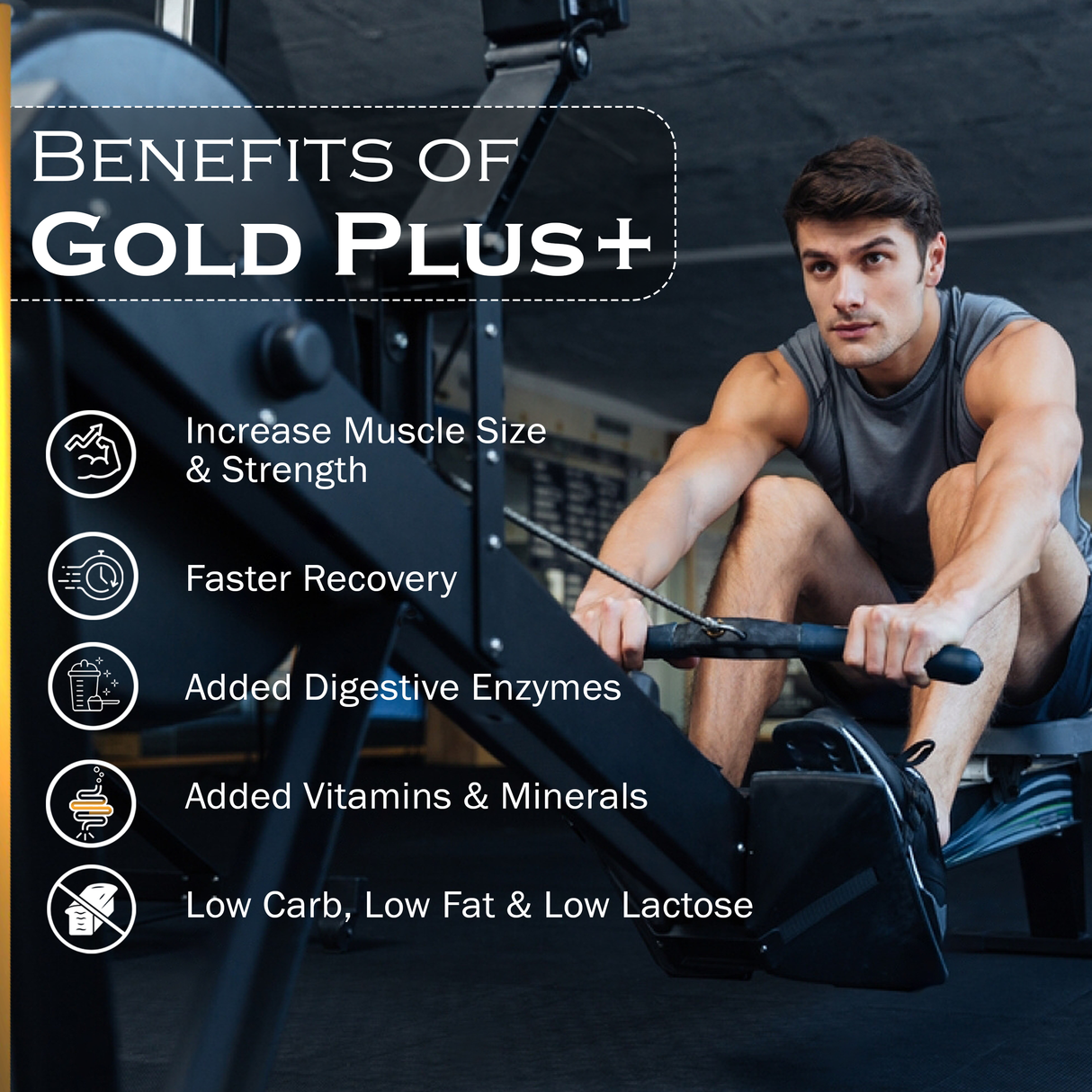 NAKPRO Gold Plus Whey Protein Concentrate 1 Kg