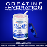 International Protein Creatine + Hydration 300g - 50 Servings