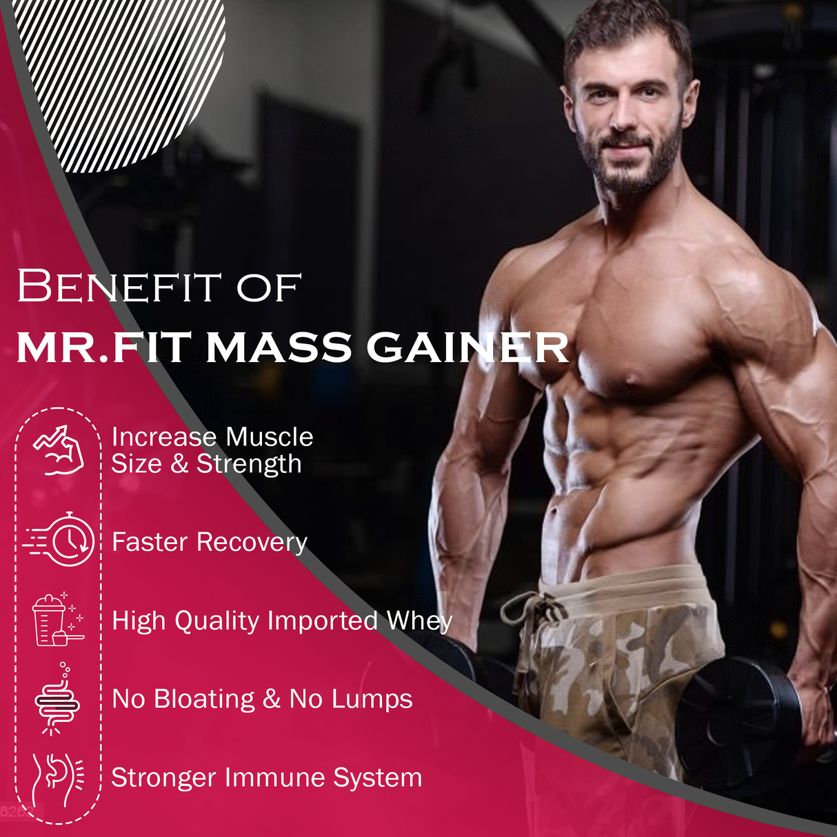 NAKPRO Mr.Fit Mass Gainer 1 Kg