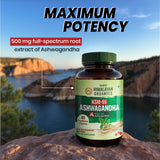 Himalayan Organics, KSM