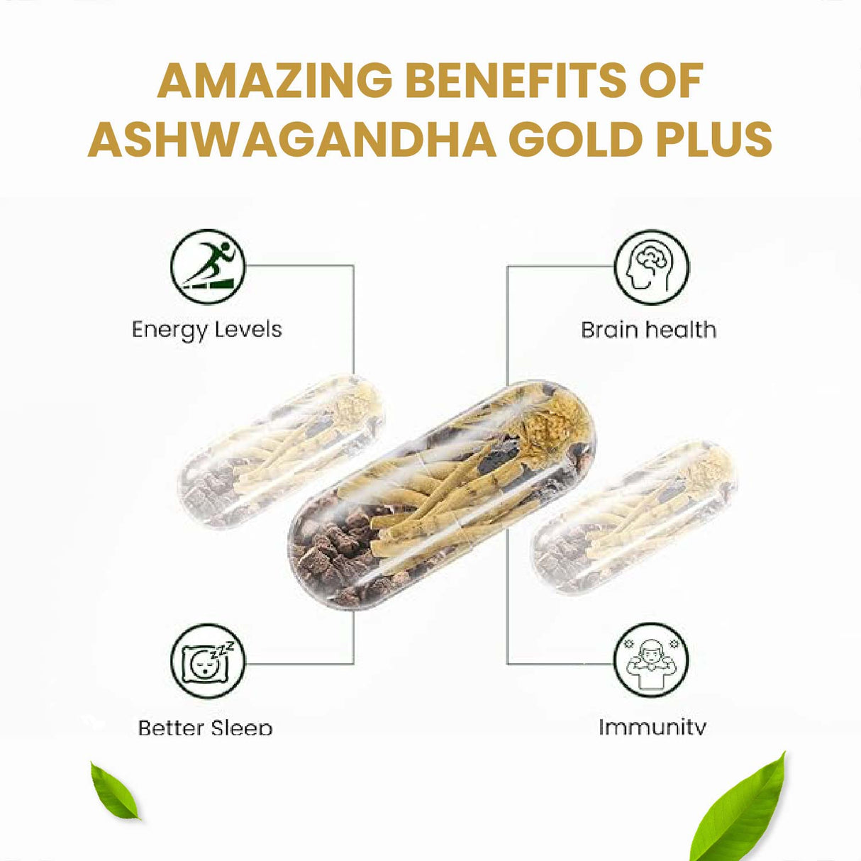 Himalayan Organics, Ashwagandha Gold Plus 