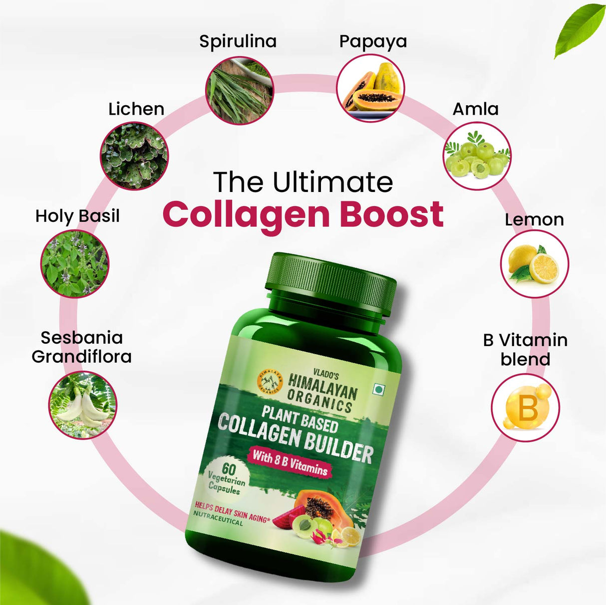 Himalayan Organics, Collagen Builder with Biotin Vitamin C 