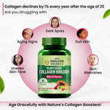 Himalayan Organics, Collagen Builder with Biotin Vitamin C 