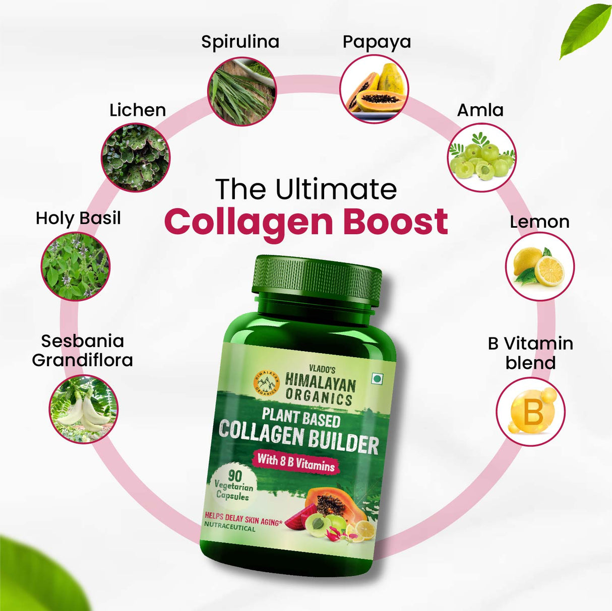 Himalayan Organics, Plant Based Collagen Builder with Biotin Vitamin C 
