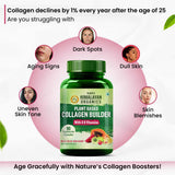 Himalayan Organics, Plant Based Collagen Builder with Biotin Vitamin C 