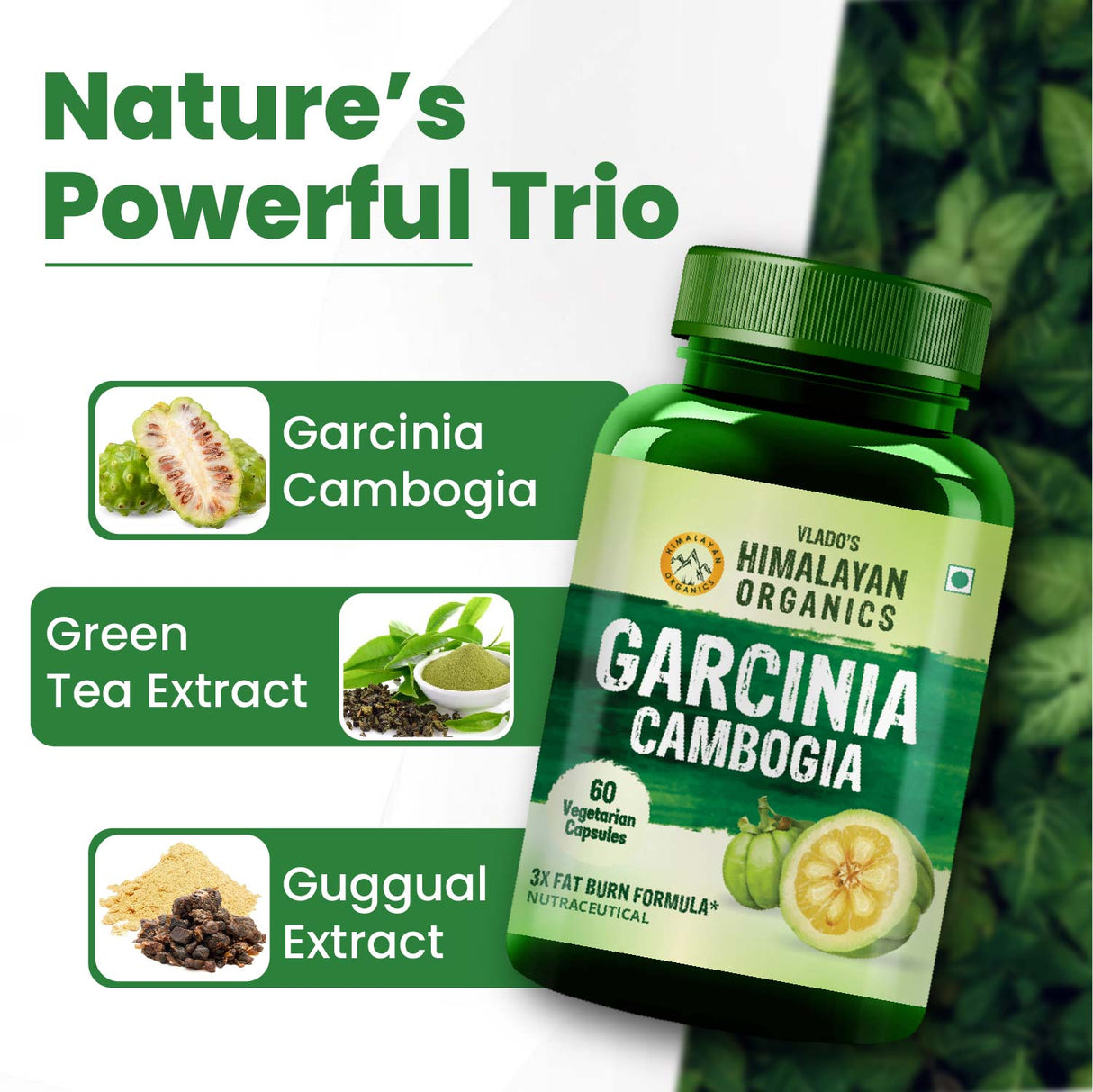 Himalayan Organics, Garcinia Cambogia Tea Extract, 1500mg 