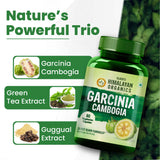 Himalayan Organics, Garcinia Cambogia Tea Extract, 1500mg 