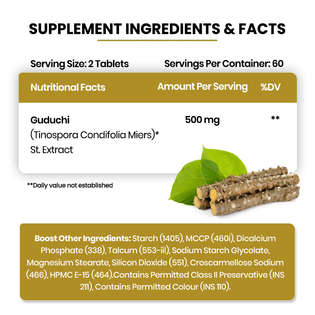 Himalayan Organics, Giloy Extract, 500mg 