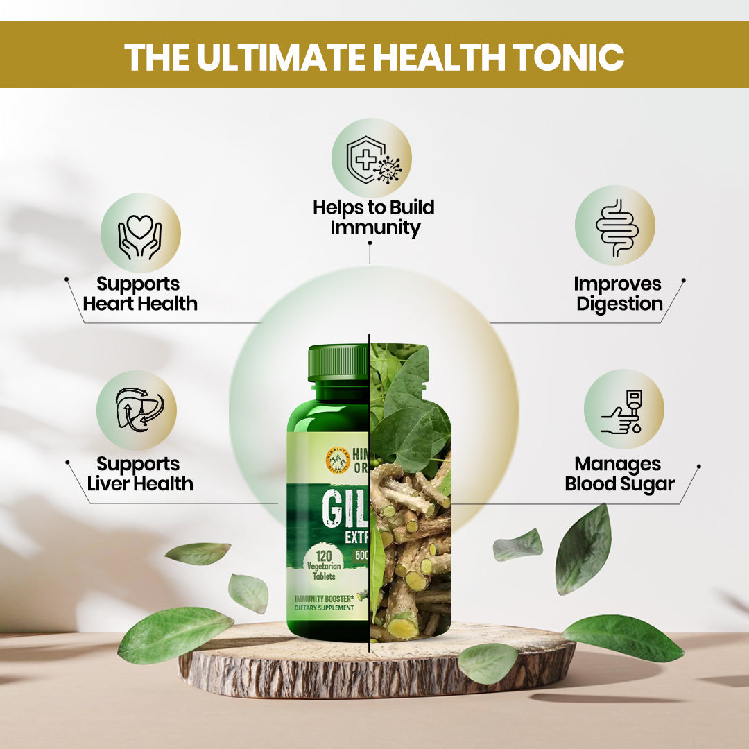 Himalayan Organics, Giloy Extract, 500mg 