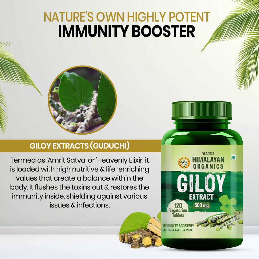 Himalayan Organics, Giloy Extract, 500mg 