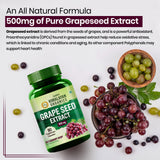 Himalayan Organics, Grape Seed Extract, 500mg 