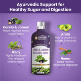 Himalayan Organics, Karela Jamun Juice with Ayurvedic Herbs 