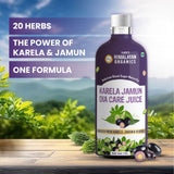 Himalayan Organics, Karela Jamun Juice with Ayurvedic Herbs 