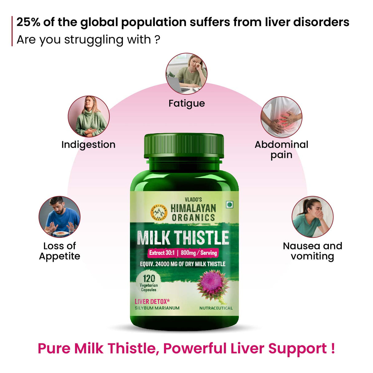Himalayan Organics, Milk Thistle Extract, 800mg 