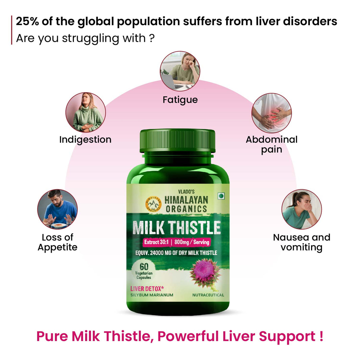 Himalayan Organics, Milk Thistle Extract, 800mg 
