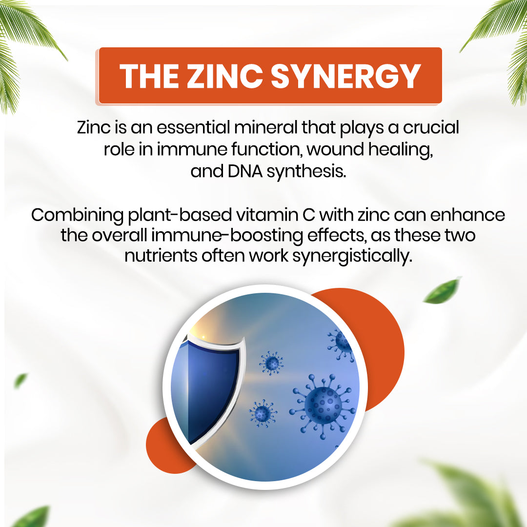 Himalayan Organics, Plant Based Vitamin C with Zinc 