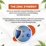 Himalayan Organics, Plant Based Vitamin C with Zinc 