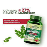 Himalayan Organics, Plant Based Magnesium with Turmeric Spirulina Moringa, 1360mg 