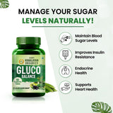 Himalayan Organics, Plant Based Gluco Balance with Jamun Amla Bittermelon 